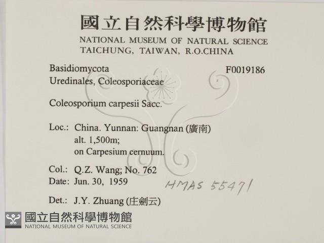登錄號:F0019186藏品圖，第2張