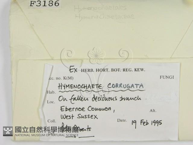 登錄號:F0003186藏品圖，第2張