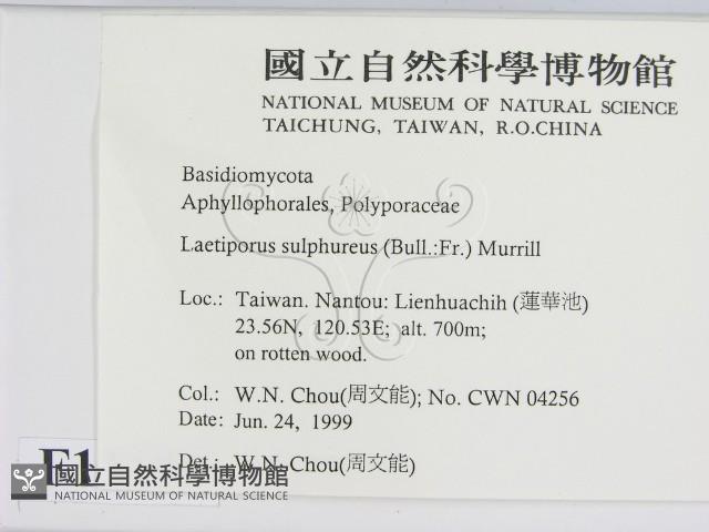 登錄號:F0013186藏品圖，第2張