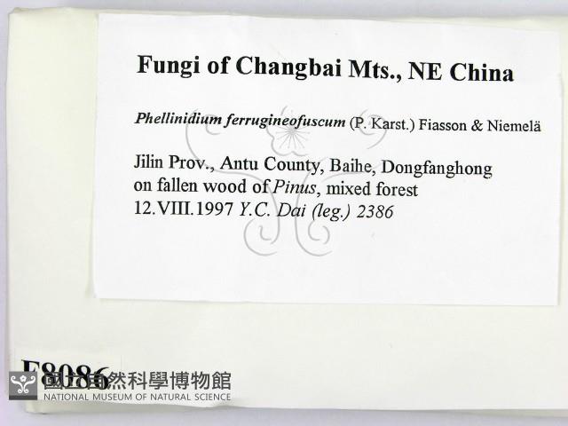 登錄號:F0008086藏品圖，第2張