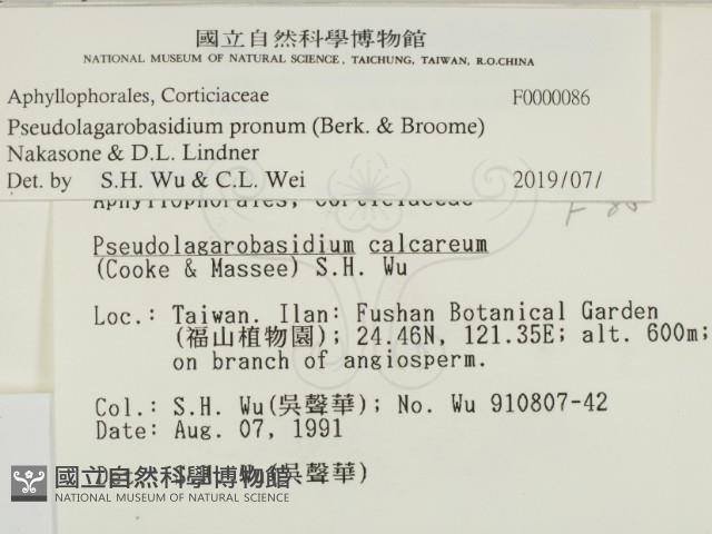 登錄號:F0000086藏品圖，第2張