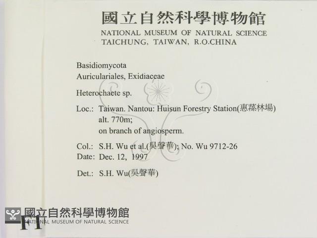 刺皮菌屬藏品圖，第2張