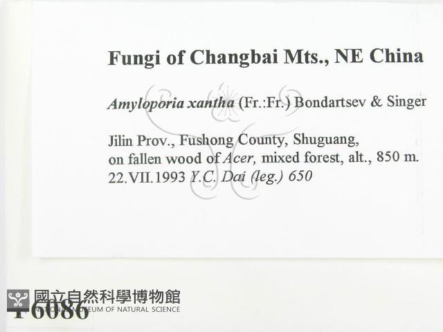 登錄號:F0006086藏品圖，第2張