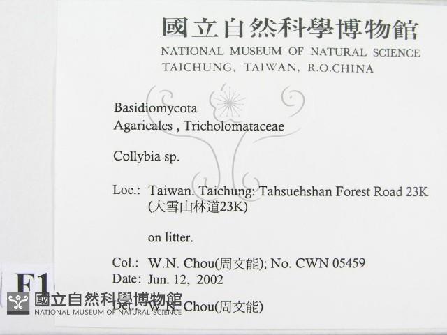 登錄號:F0016086藏品圖，第2張