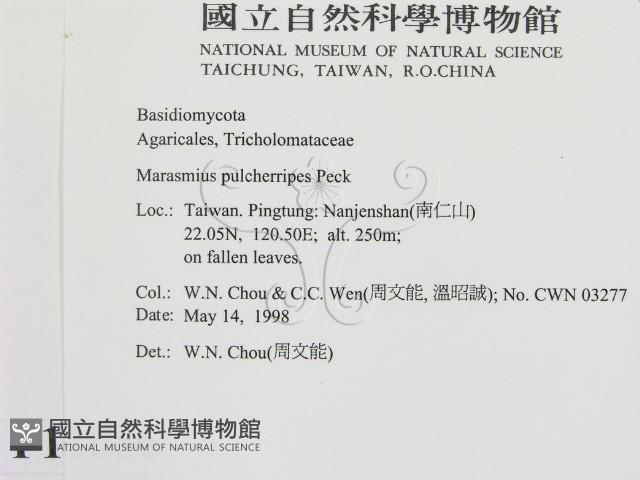 登錄號:F0011086藏品圖，第2張