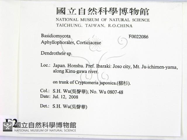 登錄號:F0022086藏品圖，第2張