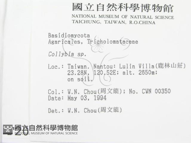 登錄號:F0002086藏品圖，第2張