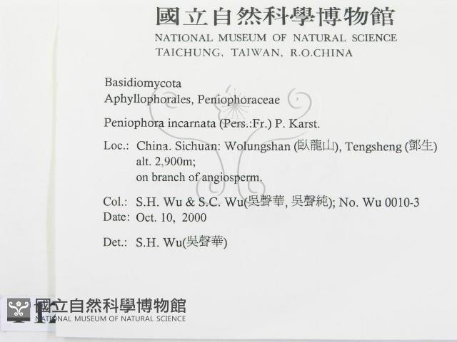 登錄號:F0012086藏品圖，第2張