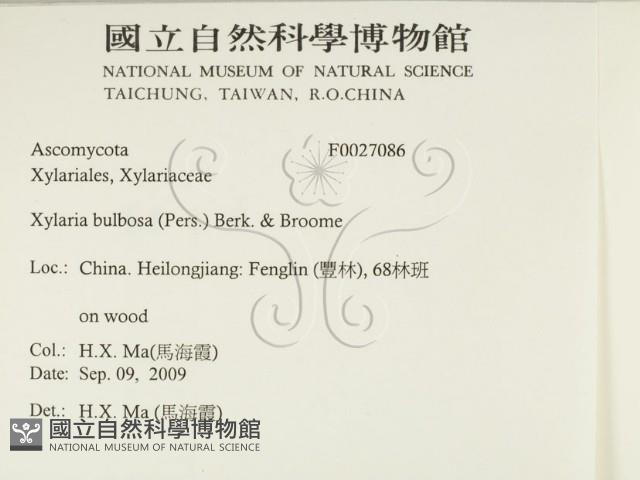 登錄號:F0027086藏品圖，第2張