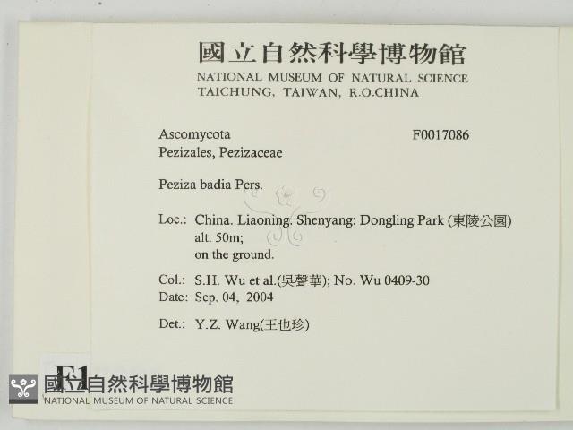 登錄號:F0017086藏品圖，第2張