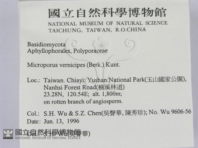 登錄號:F0005086藏品圖，第2張