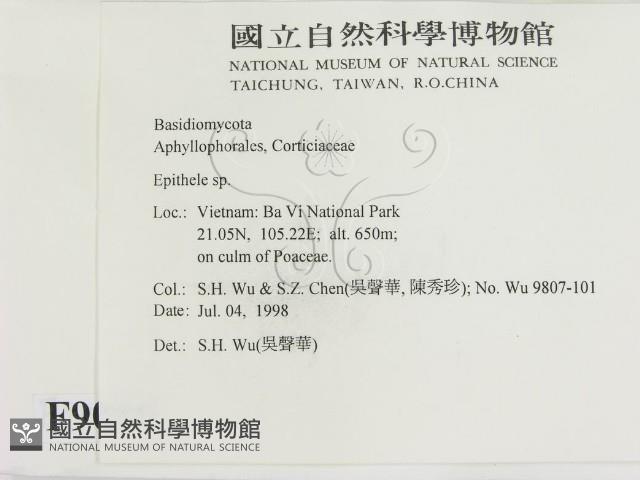 登錄號:F0009086藏品圖，第2張