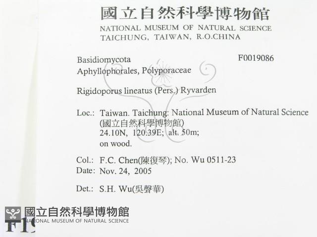 登錄號:F0019086藏品圖，第2張