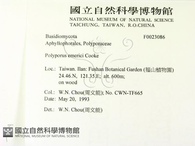 登錄號:F0023086藏品圖，第2張