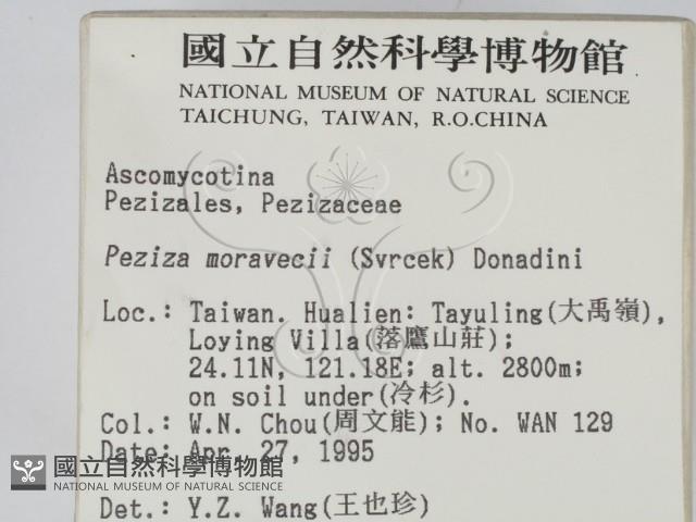 登錄號:F0003086藏品圖，第2張