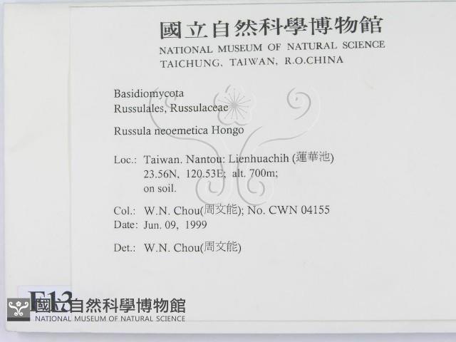 登錄號:F0013086藏品圖，第2張