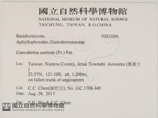 登錄號:F0033086藏品圖，第2張