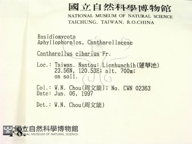 登錄號:F0008386藏品圖，第2張