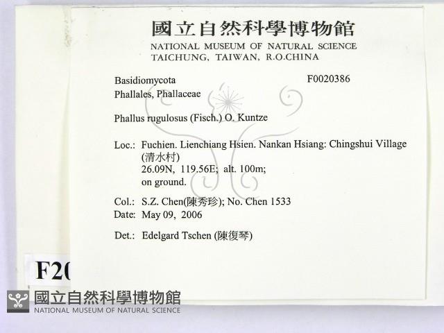 登錄號:F0020386藏品圖，第2張