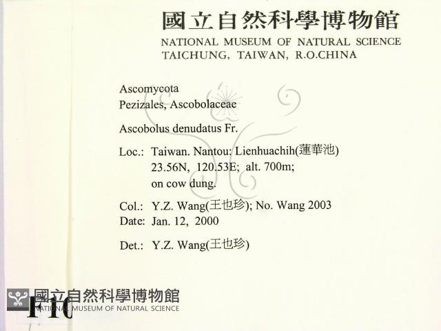 登錄號:F0010386藏品圖，第2張