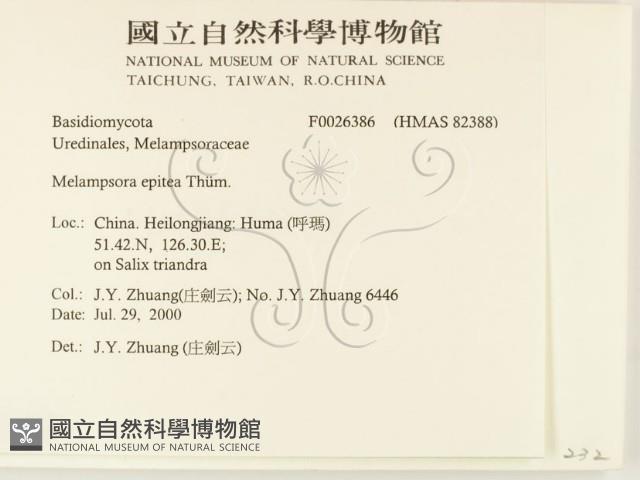 登錄號:F0026386藏品圖，第2張