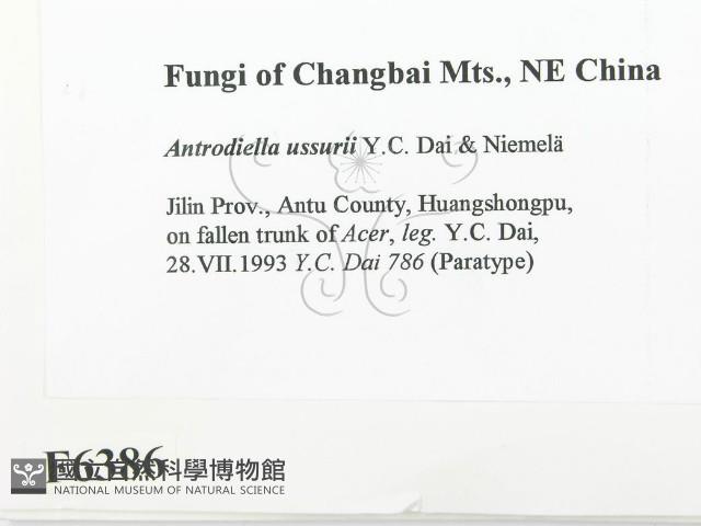 登錄號:F0006386藏品圖，第2張