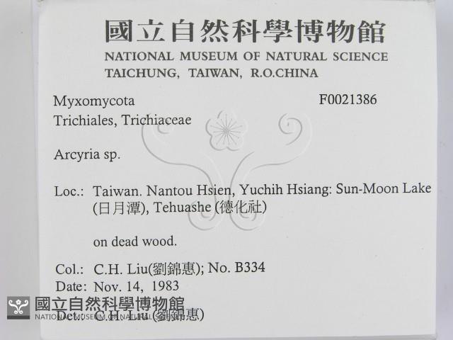 登錄號:F0021386藏品圖，第2張