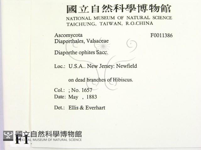 登錄號:F0011386藏品圖，第2張