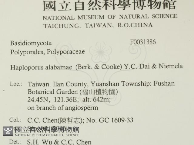 登錄號:F0031386藏品圖，第2張