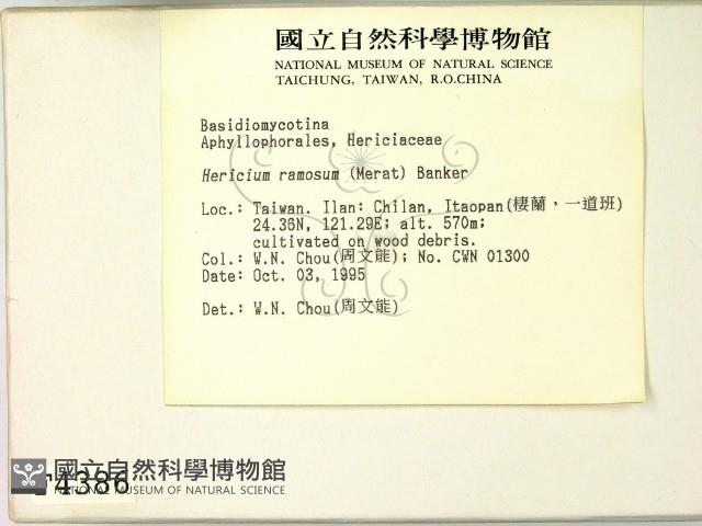 登錄號:F0004386藏品圖，第2張