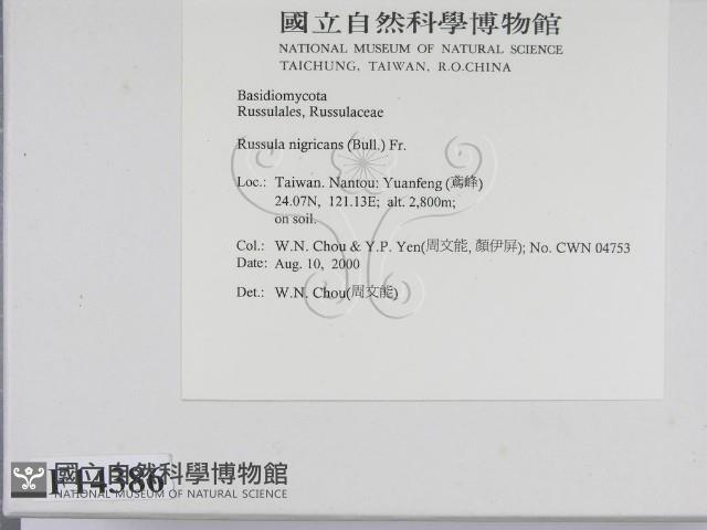登錄號:F0014386藏品圖，第2張