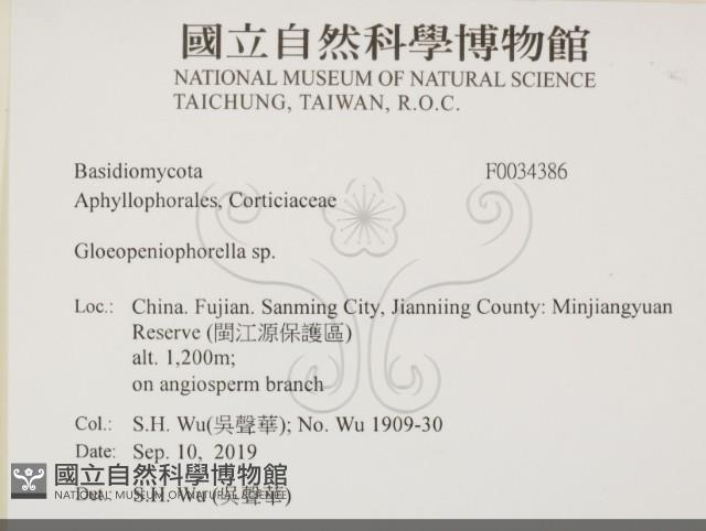 登錄號:F0034386藏品圖，第2張