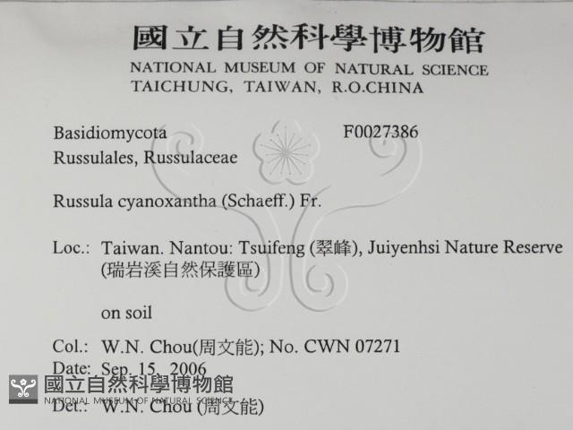 登錄號:F0027386藏品圖，第2張