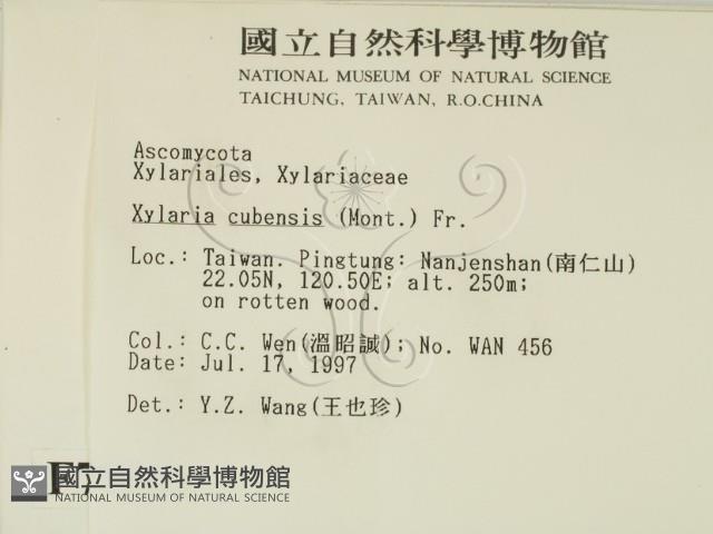 登錄號:F0007386藏品圖，第2張