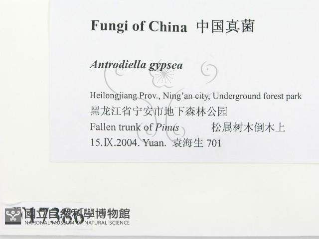 登錄號:F0017386藏品圖，第2張