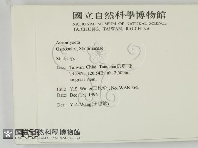 登錄號:F0005386藏品圖，第2張