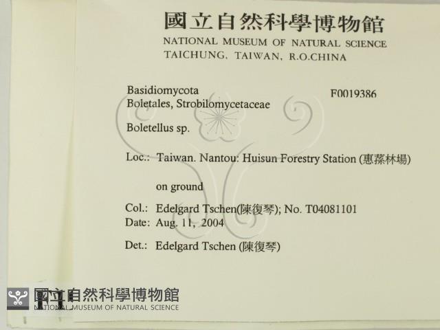 登錄號:F0019386藏品圖，第2張