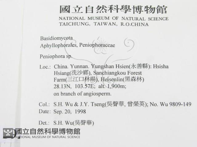 筍殼菌屬藏品圖，第2張