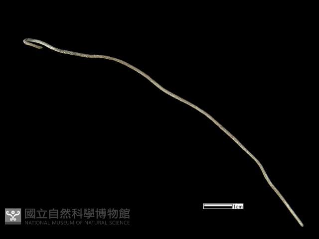 髮簪藏品圖，第2張