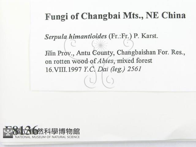 登錄號:F0008136藏品圖，第2張