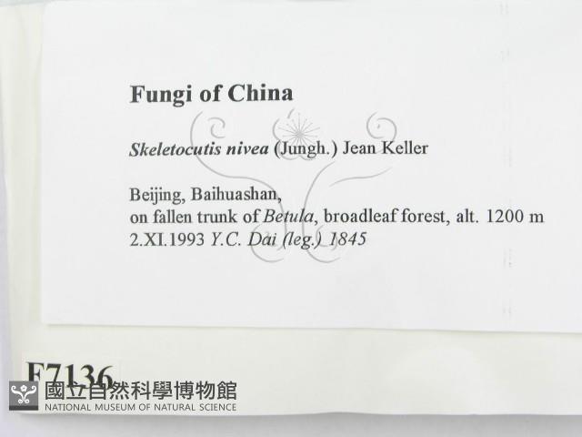 登錄號:F0007136藏品圖，第2張