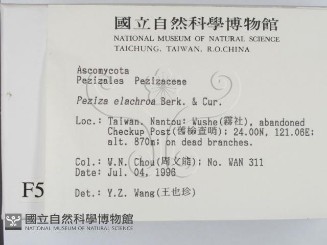 登錄號:F0005136藏品圖，第2張