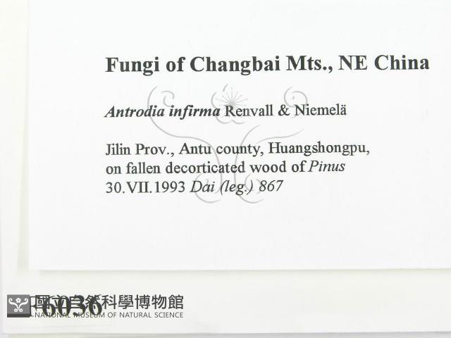 登錄號:F0006036藏品圖，第2張