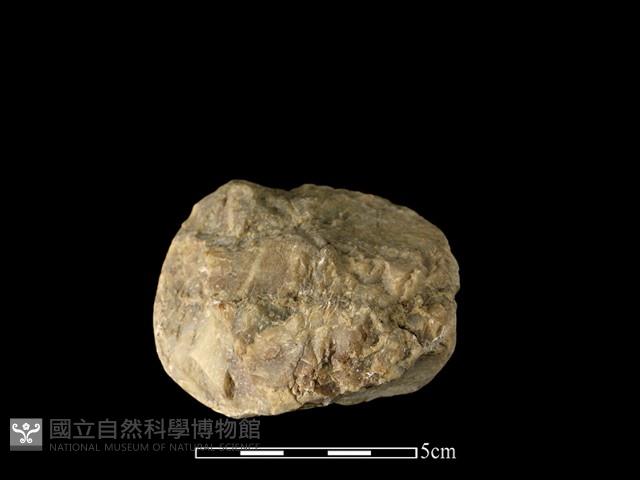 石球藏品圖，第2張