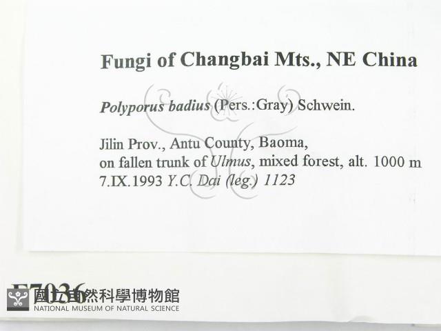 登錄號:F0007036藏品圖，第2張