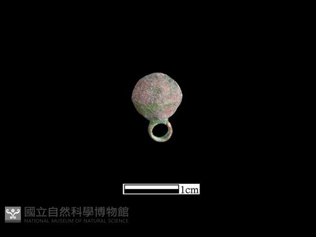 鈕子藏品圖，第2張