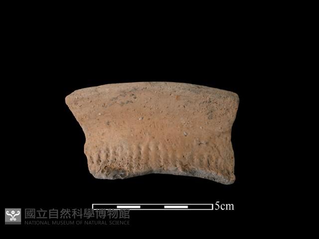 陶罐藏品圖，第1張