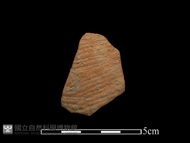 陶片藏品圖，第1張