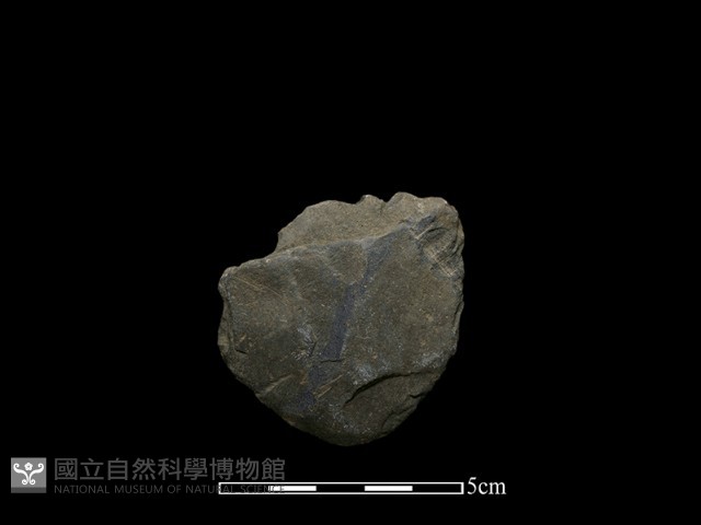 磨製斧鋤形器藏品圖，第2張