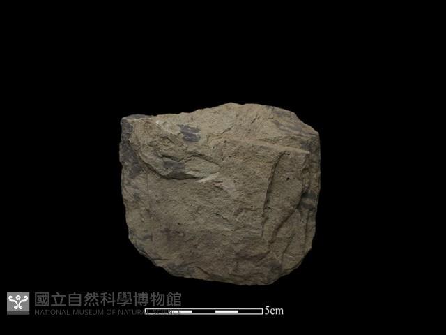 Accession Number:NH-2014-021 Collection Image, Figure 1, Total 2 Figures